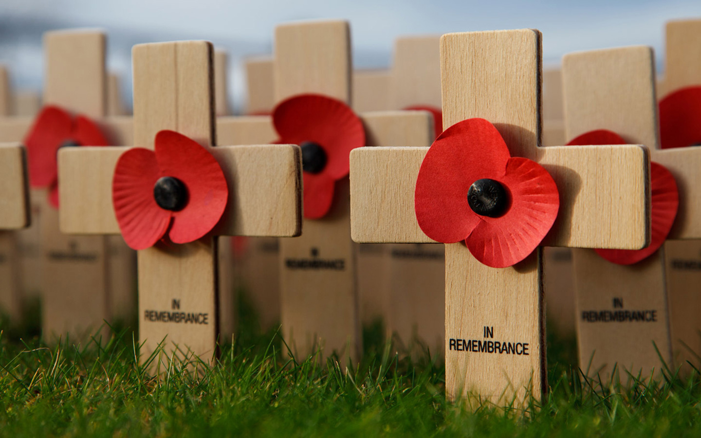 Remembrance Day In Canada Puter Desktop Wallpaper Pictures