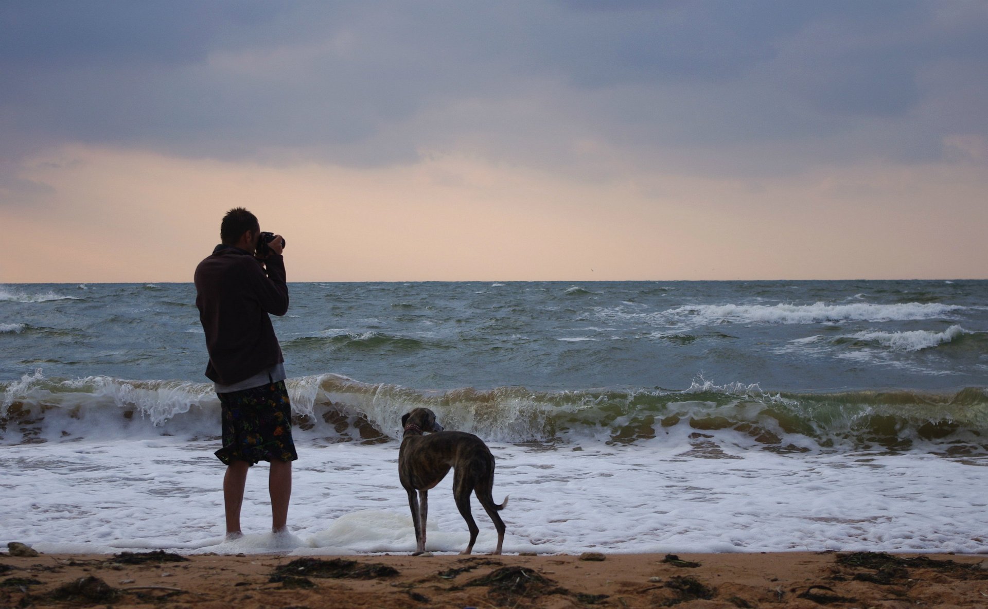 Wallpaper Man And Dog At Sea