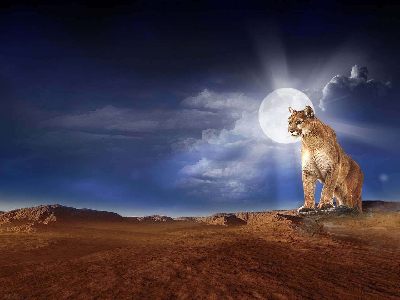 Photoshop Hd Wallpaper