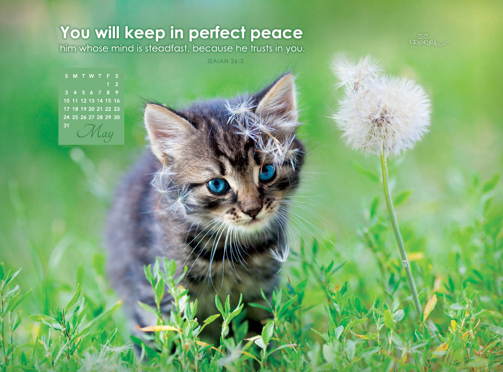 May Perfect Peace Desktop Calendar Monthly Calendars