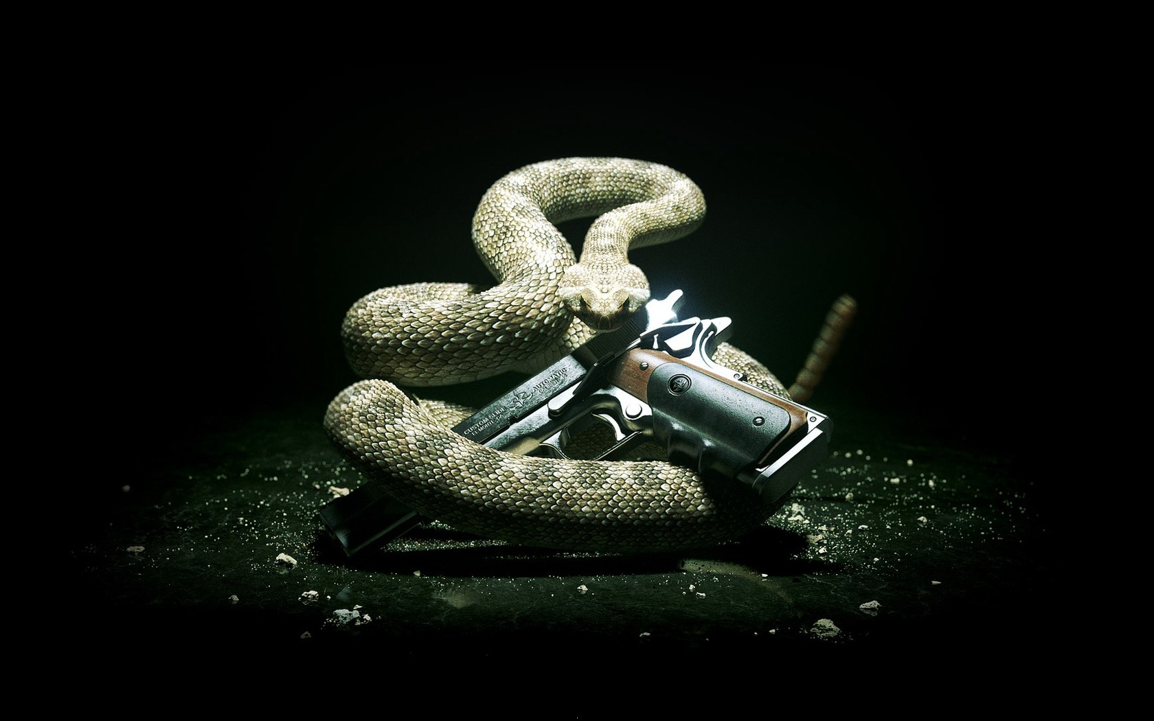Snake Wallpaper 3d HD