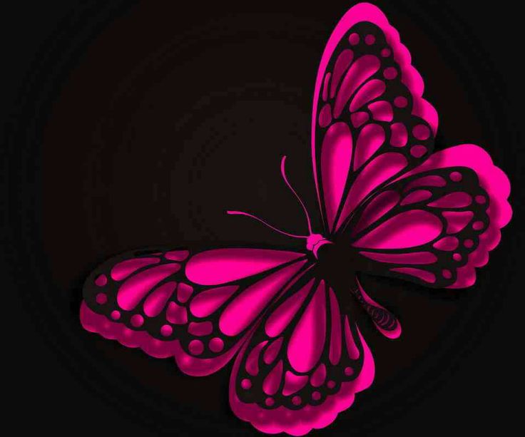 Love It Pink And Black Butterfly Cool Wallpaper