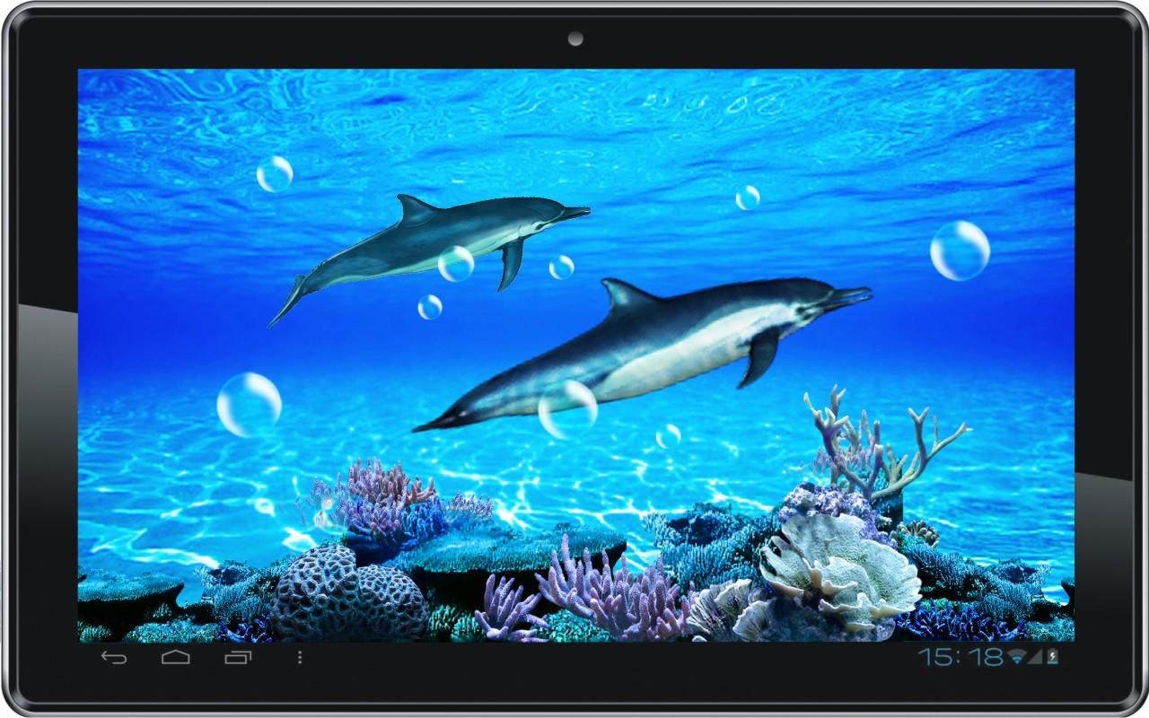 Dolphin Sounds Live Wallpaper   Android Apps on Google Play 1280x800