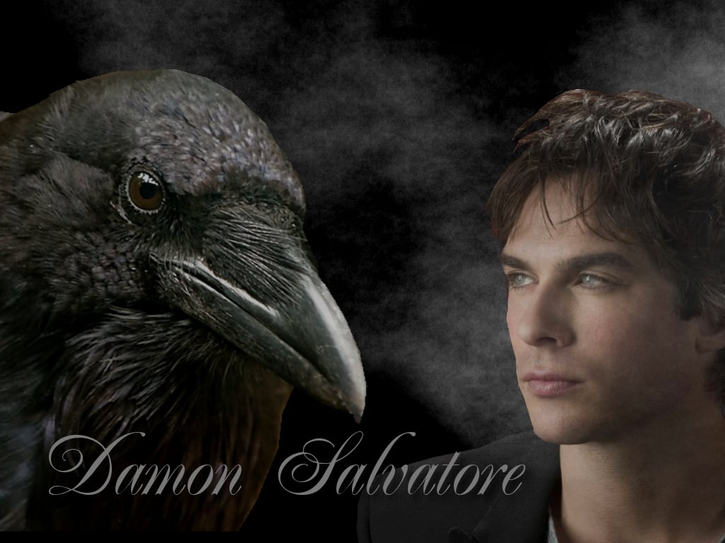Damon and Crow   Damon Salvatore Wallpaper 28083552 1024x768