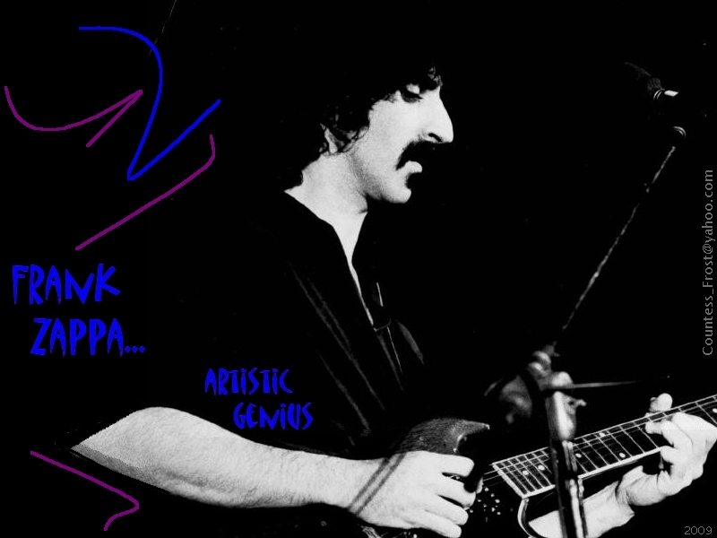 Frank Zappa artistic genius   Frank Zappa Wallpaper 5073005
