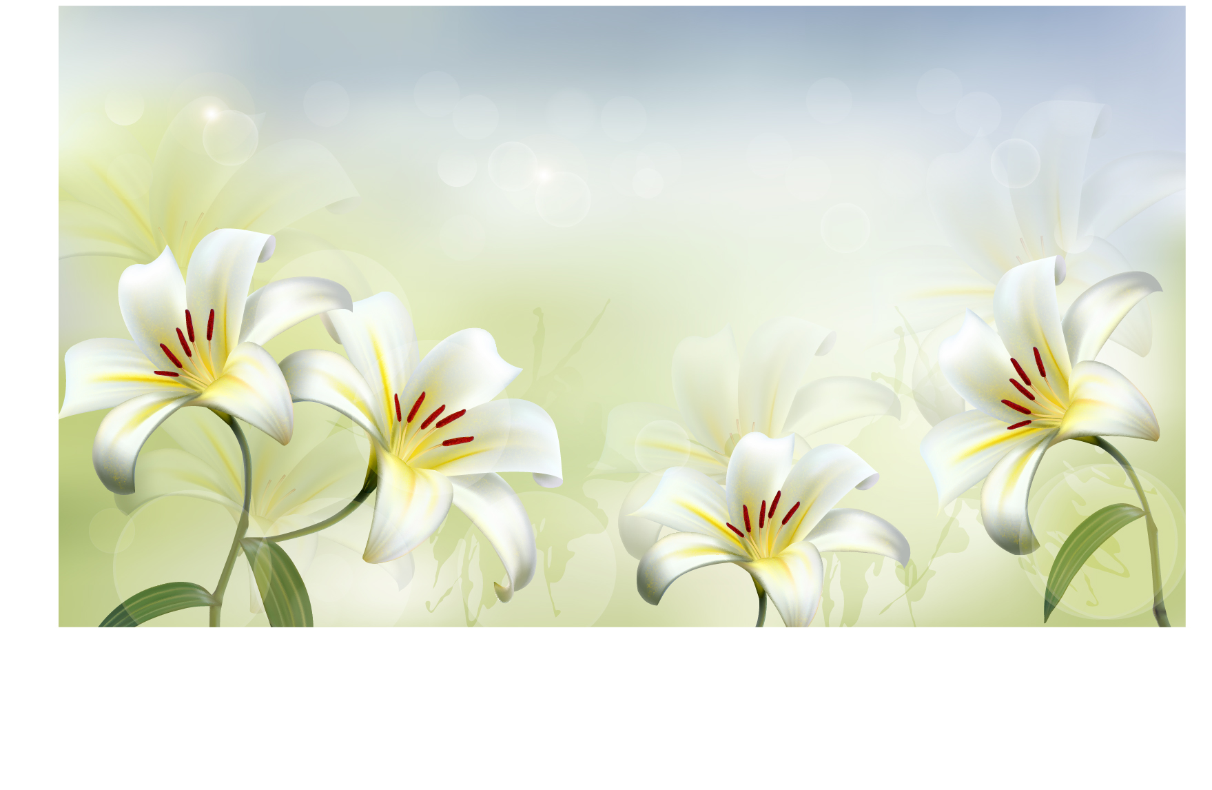 Beautiful white flower vector background 02   Vector Background