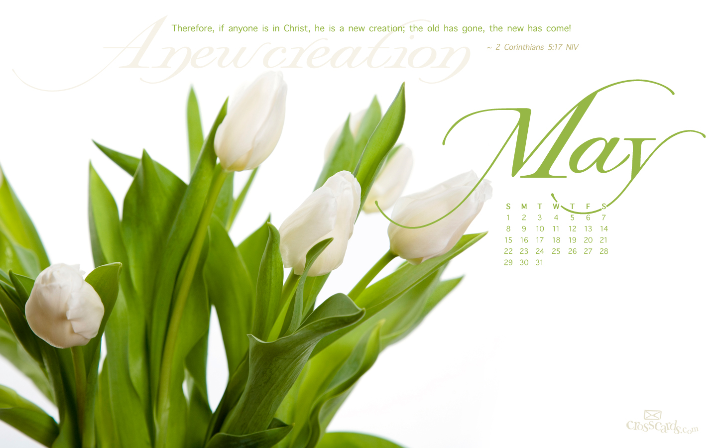 May New Creation Desktop Calendar Monthly Calendars