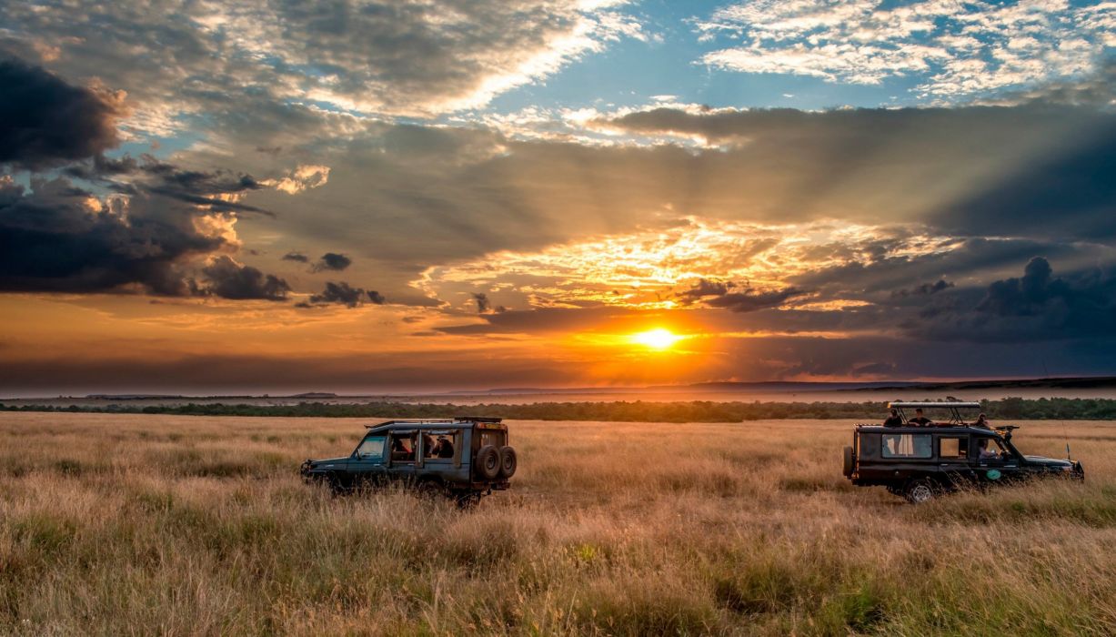 Horizon Sky Safari Africa Sunset Wallpaper