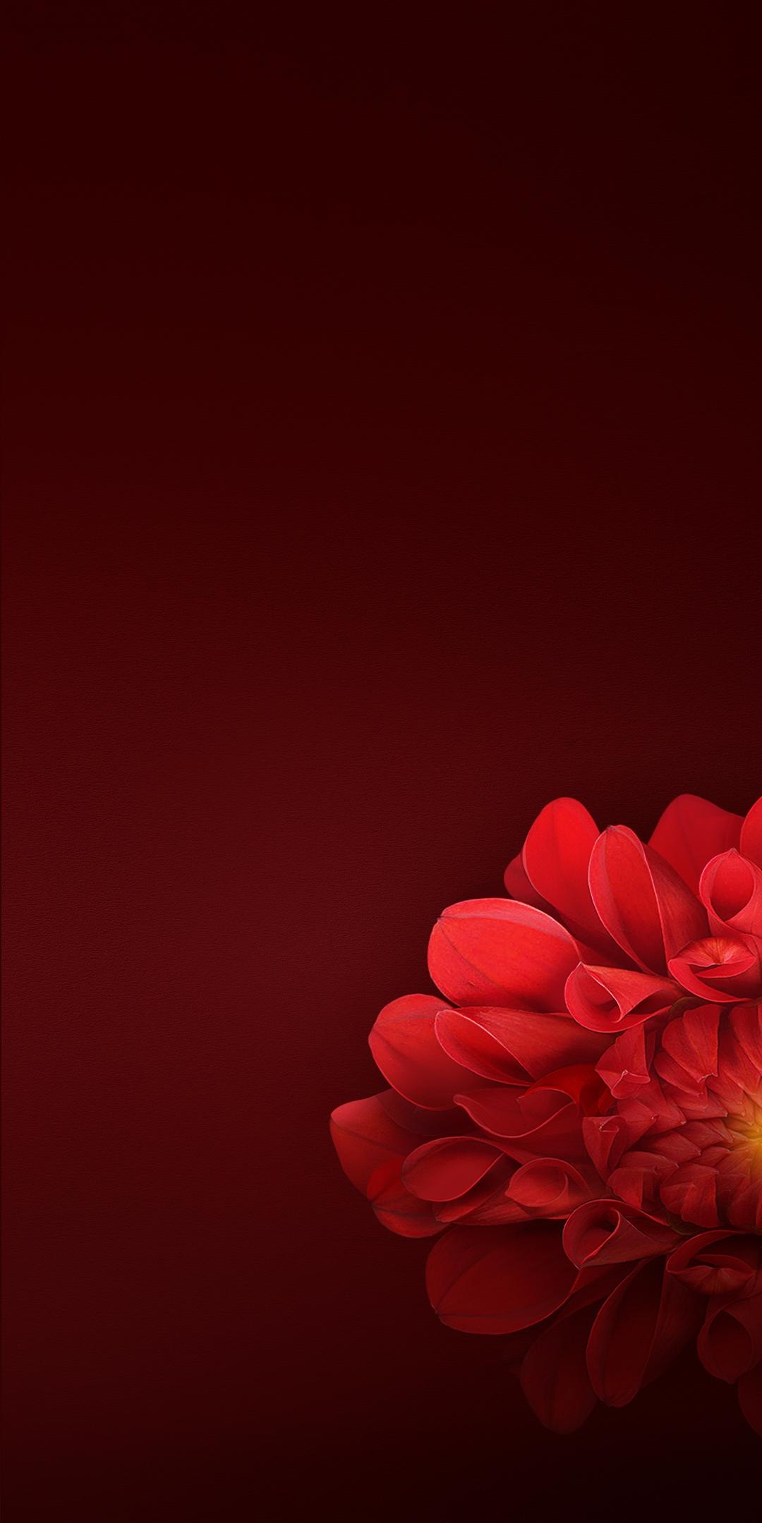 X Wallpaper Devices Realme Pro Mobile Tablet HD