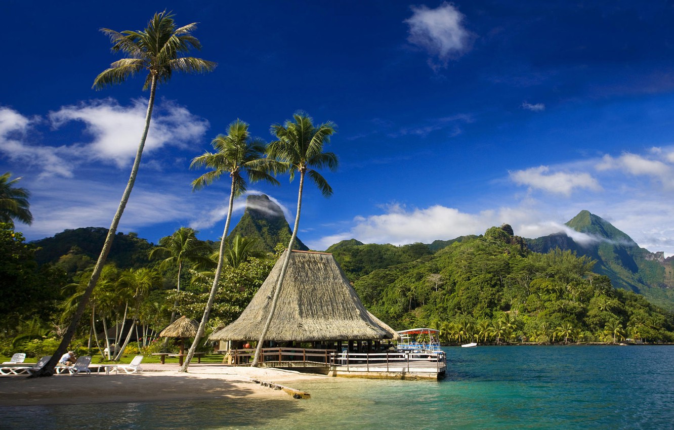Wallpaper Beach Tropics Palm Trees Cafe Tahiti Moorea