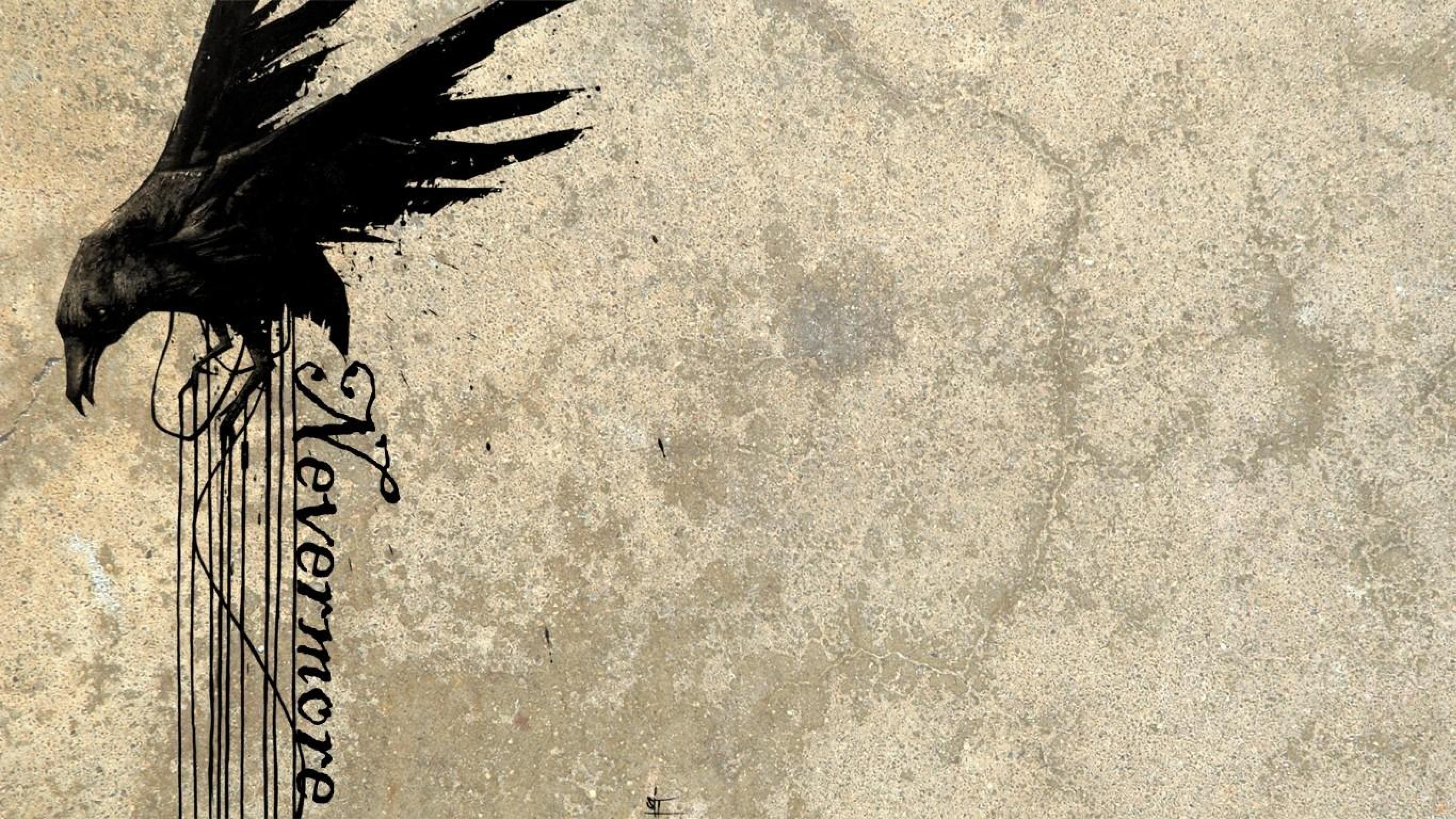 Birds Raven Grunge Nevermore HD Wallpaper Desktop