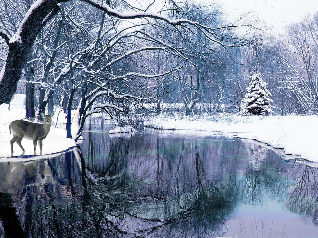 Free download snow winter wallpaper winter dreaming white anime 1024x768