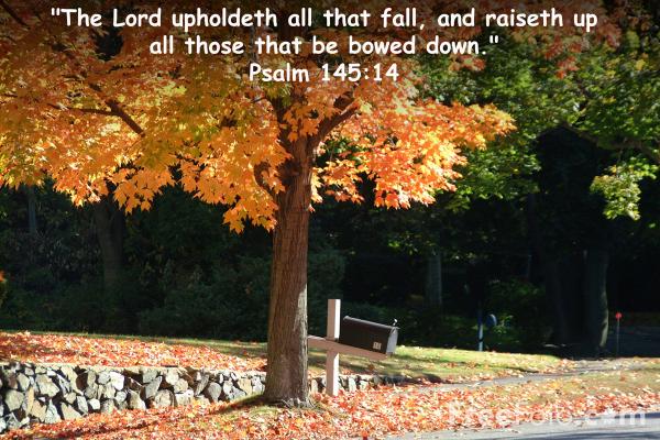 The Lord Upholdeth All That Fall Pictures Use Image By