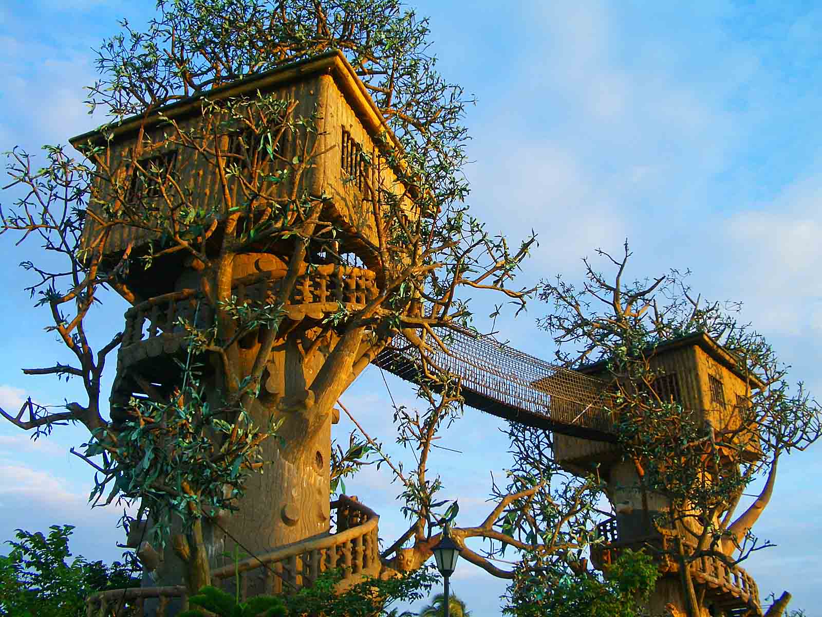Top 20 Beautiful And Amazing Tree House WallpapersPics HDhut