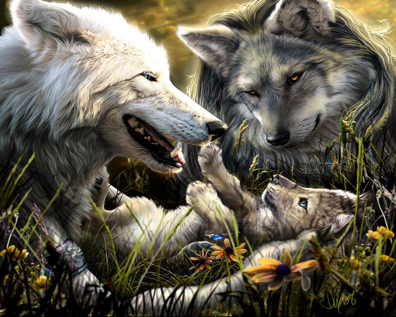 Mystic Wolf Wallpaper Wolves Animals For