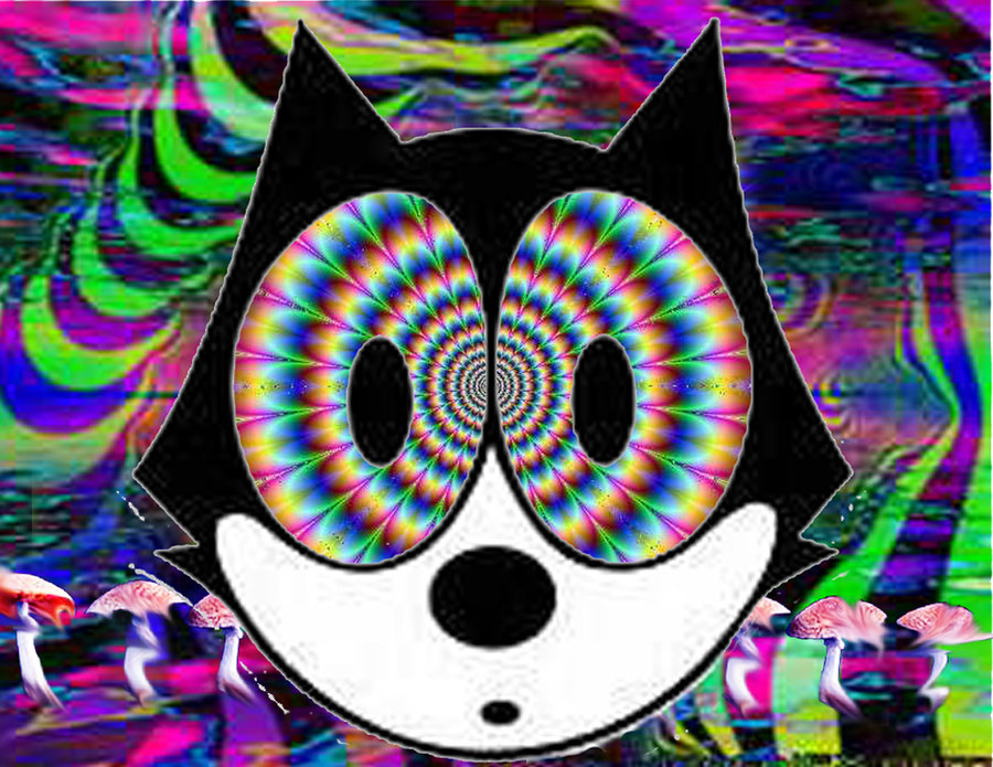 Trippy Cat Background Image Pictures Becuo