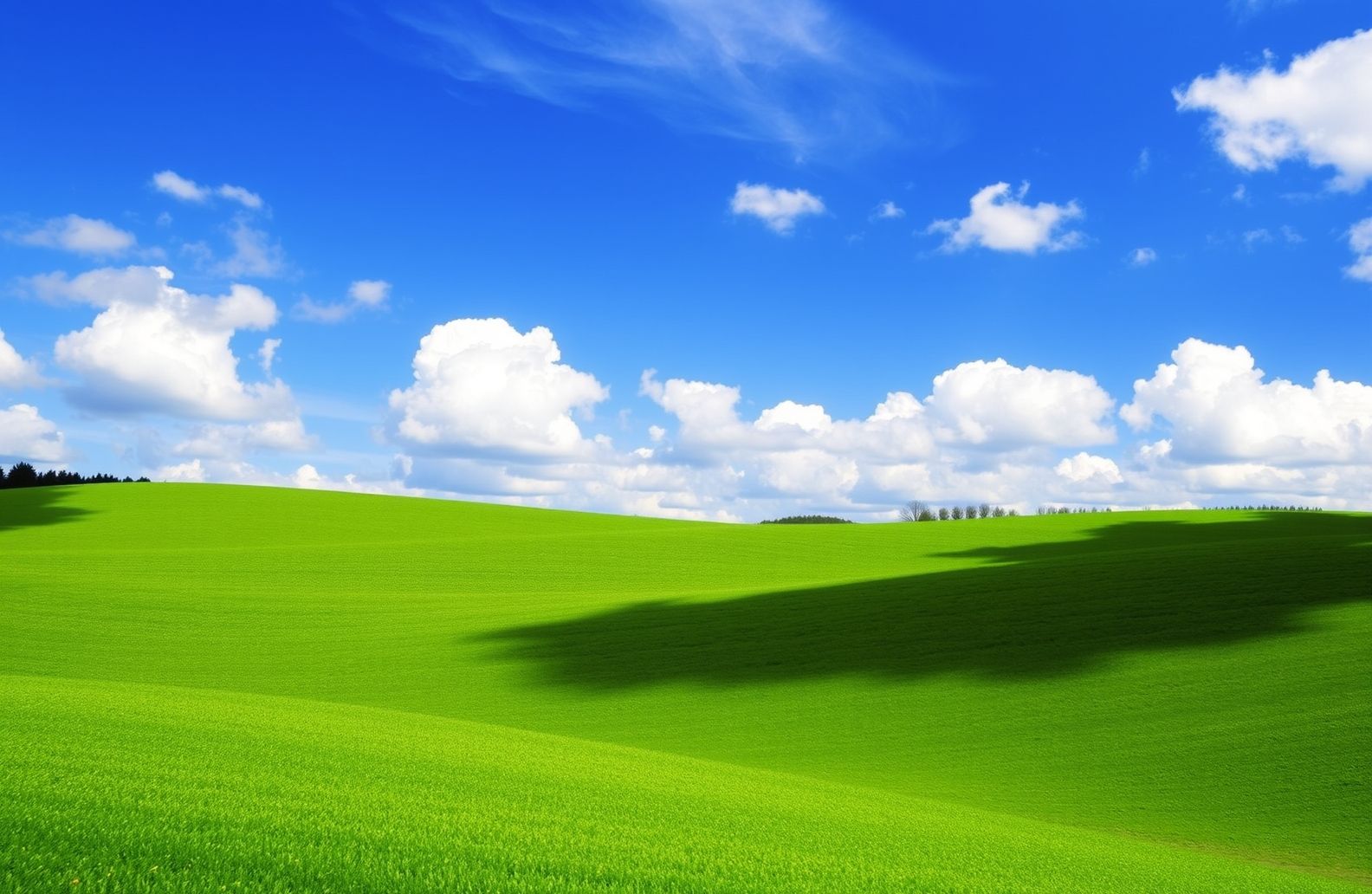 Windows Vista Wallpaper