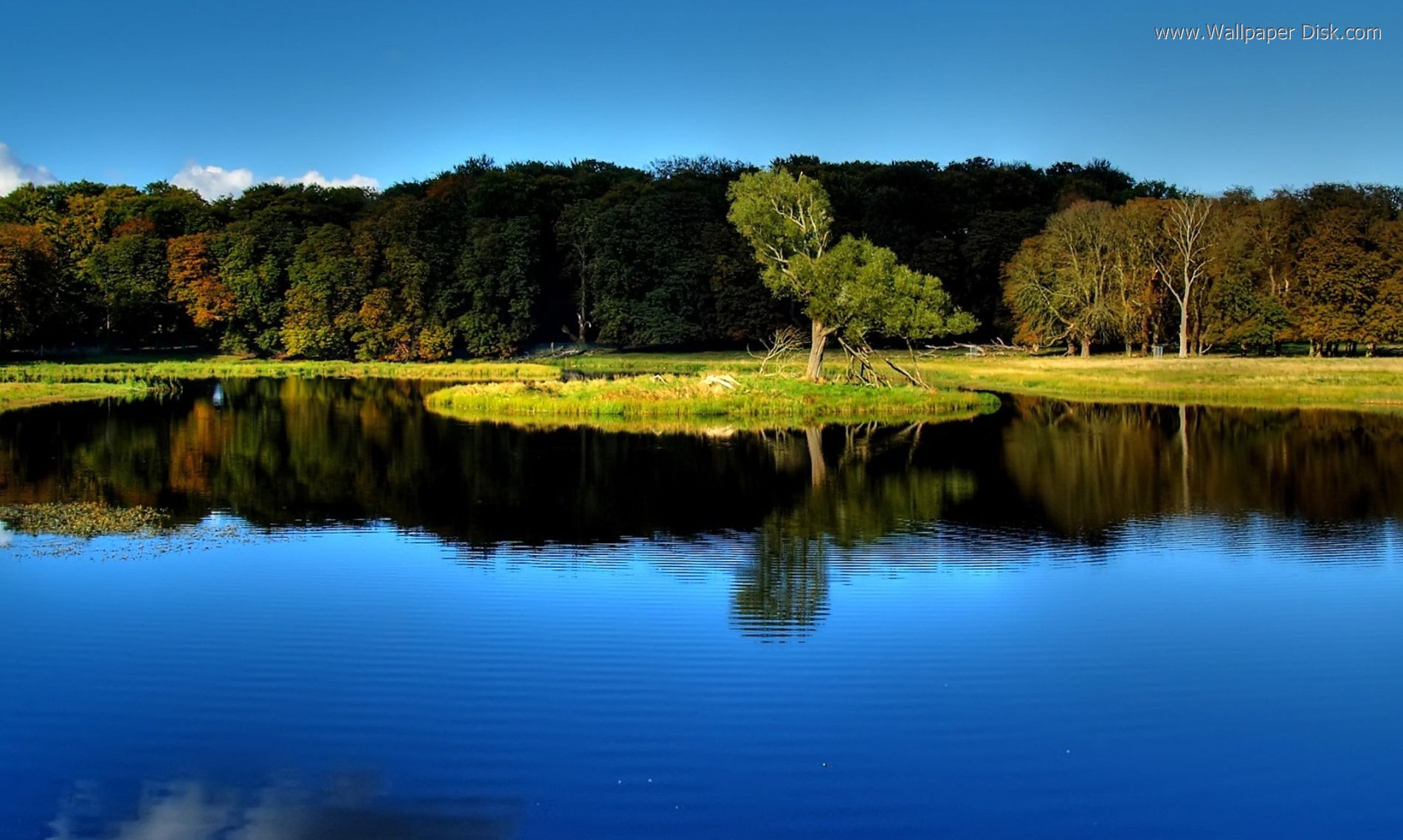 Best Water Reflection Of Trees Desktop Wallpaper Background