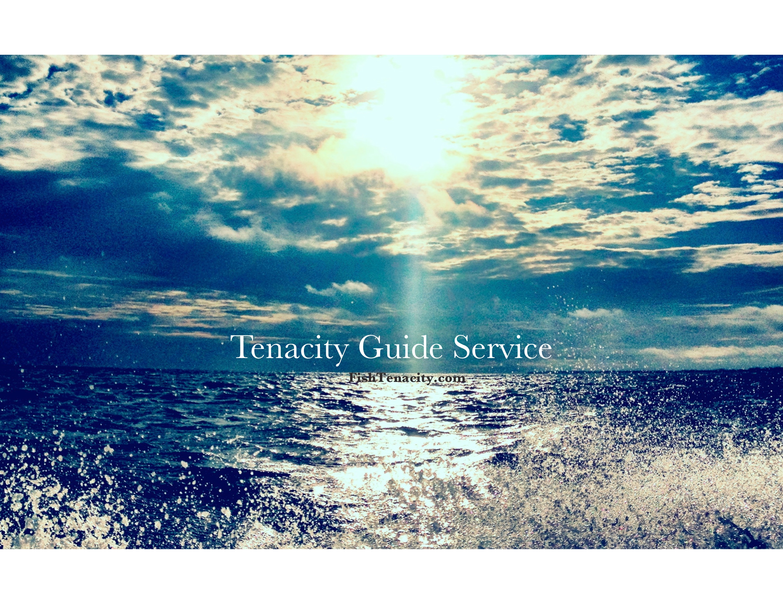 Tenacity Wallpaper S Guide Service
