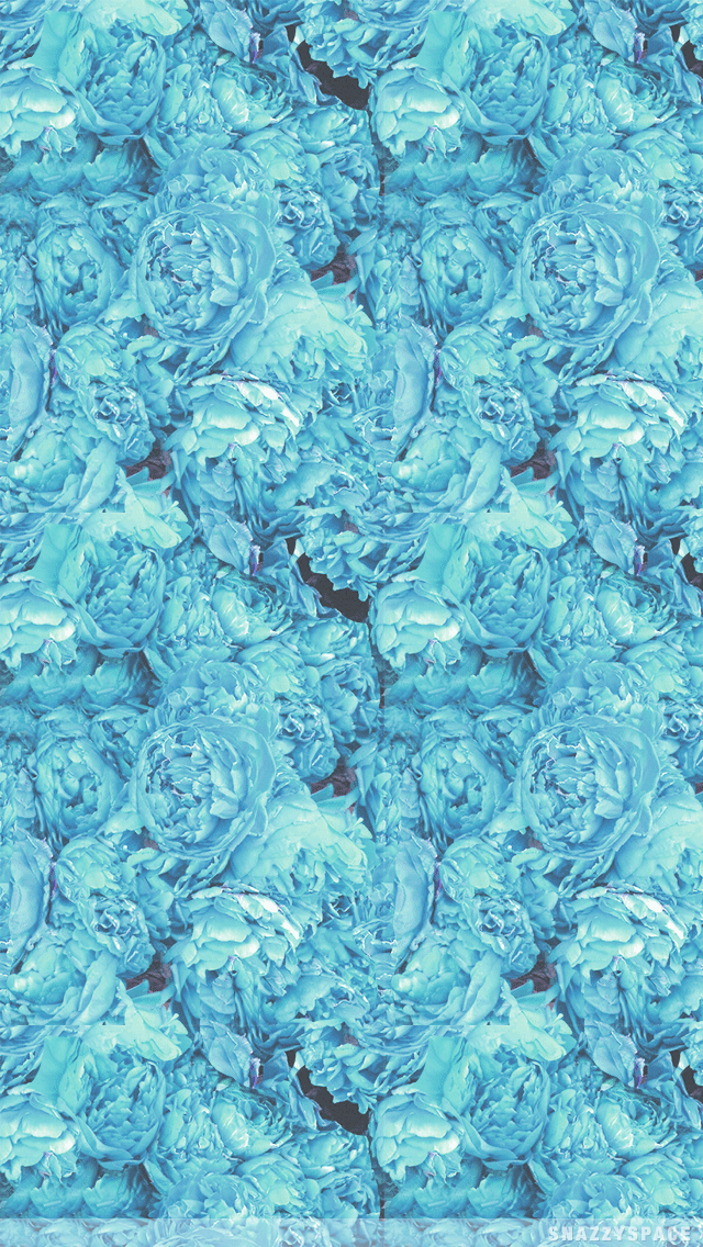 Blue Hydrangeas Wallpaper Installing this blue hydrangea 640x1136