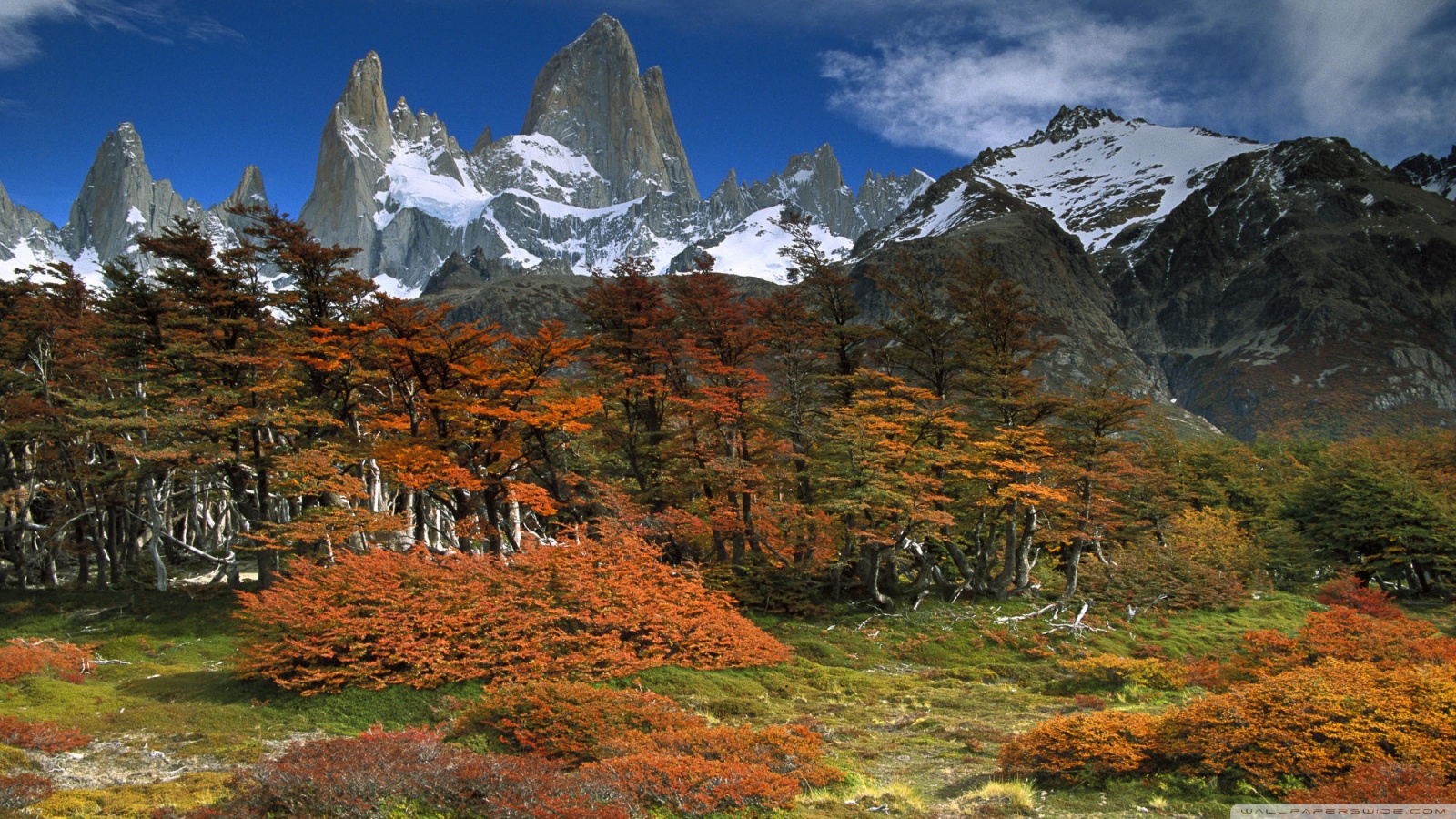 Fitzroy And Beech Trees In Autumn Los Glaciares National Park