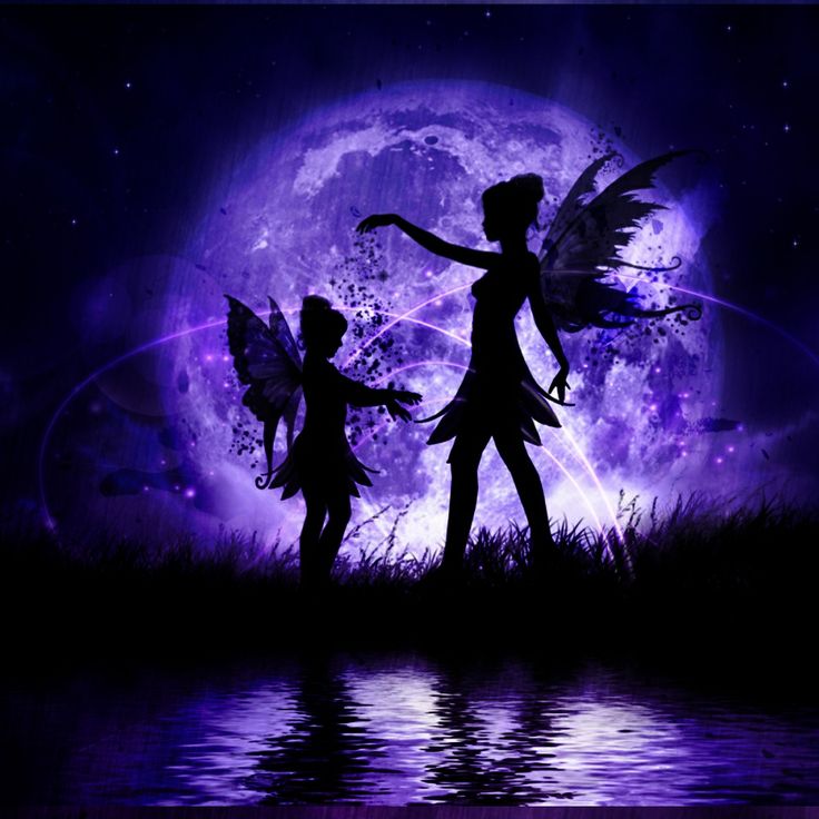 Purple Fairy Fairies