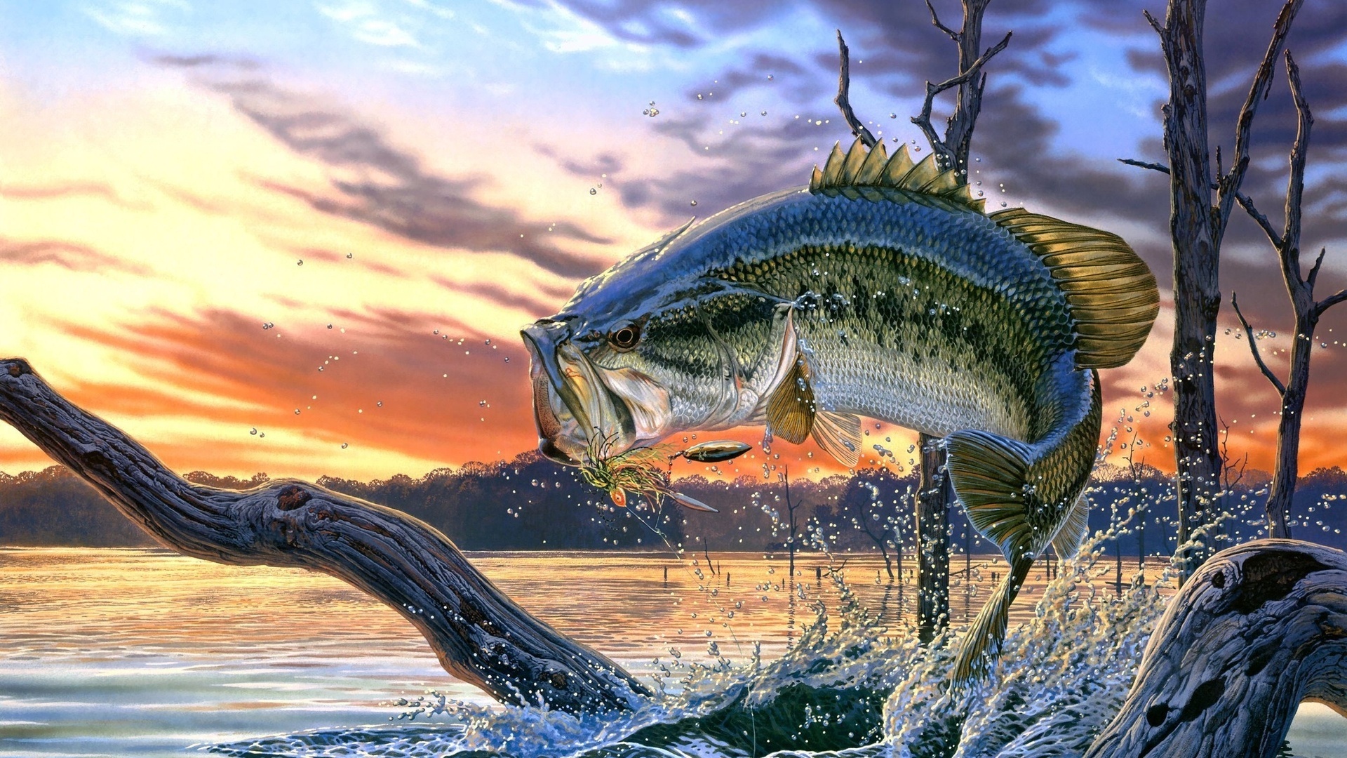 Cartoon Wallpaper Bass Fishing HD Border