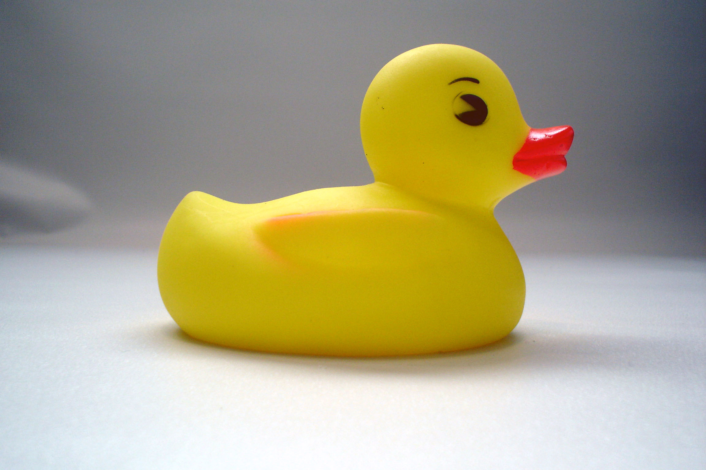 Rubber Duck By Axefield Stock