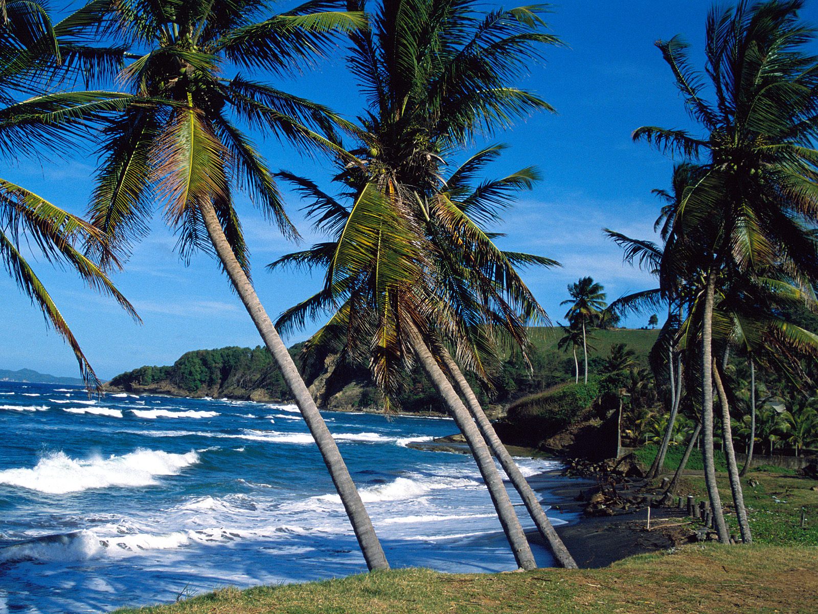 Islands Wallpaper Summer Waves St Lucia