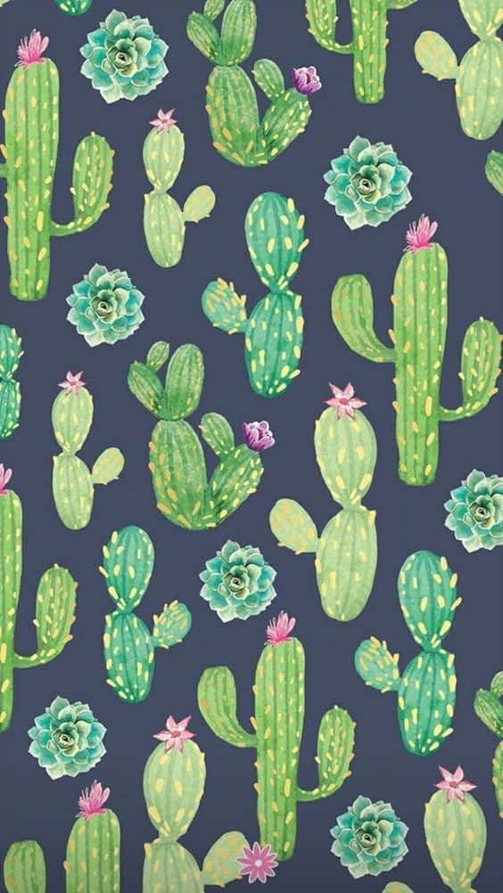Cactus iPhone Drawing Wallpaper