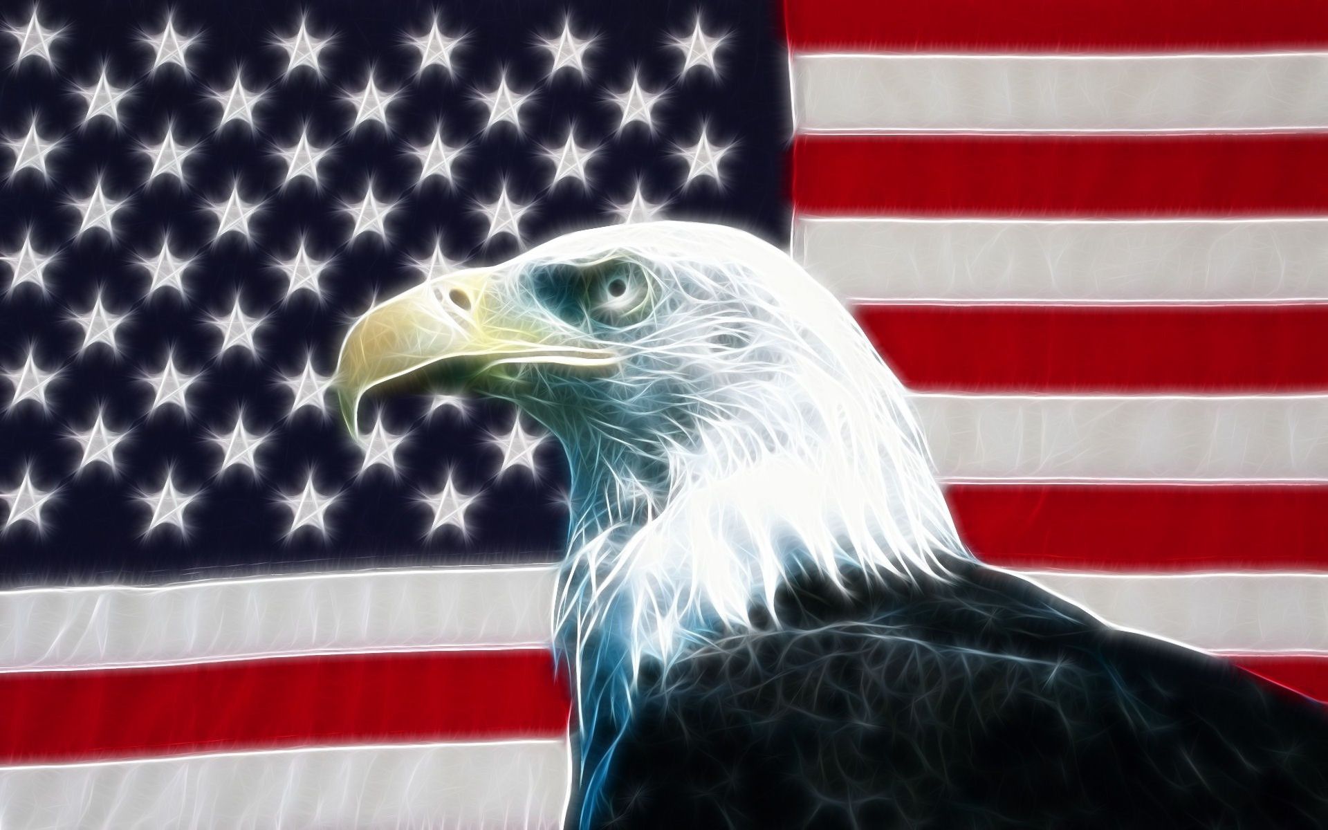 American Bald Eagle Wallpaper