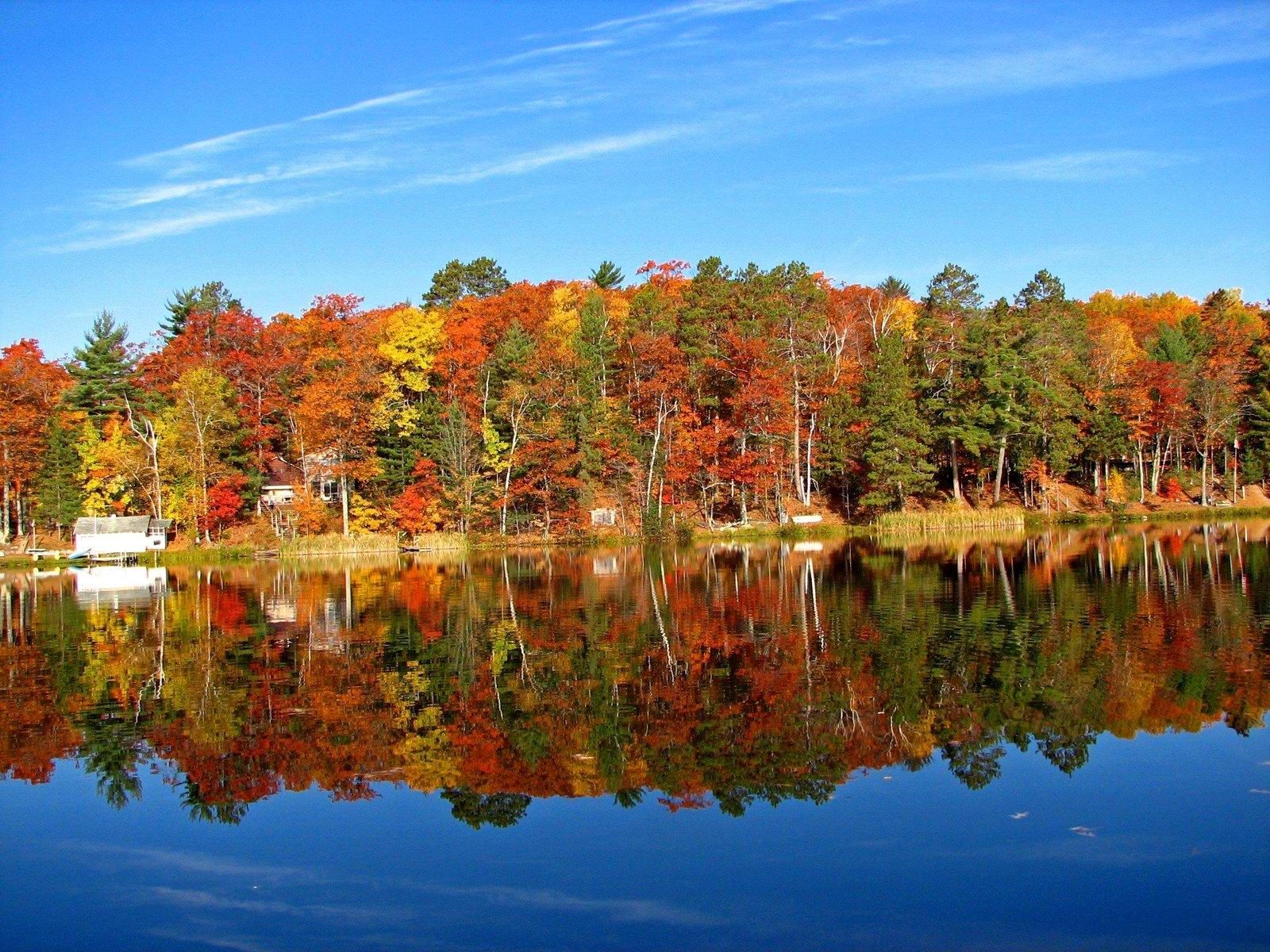 Fall Colors Bass Lake Washington Wisconsin United States