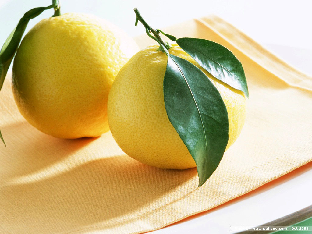 Lemon Wallpaper Fruit