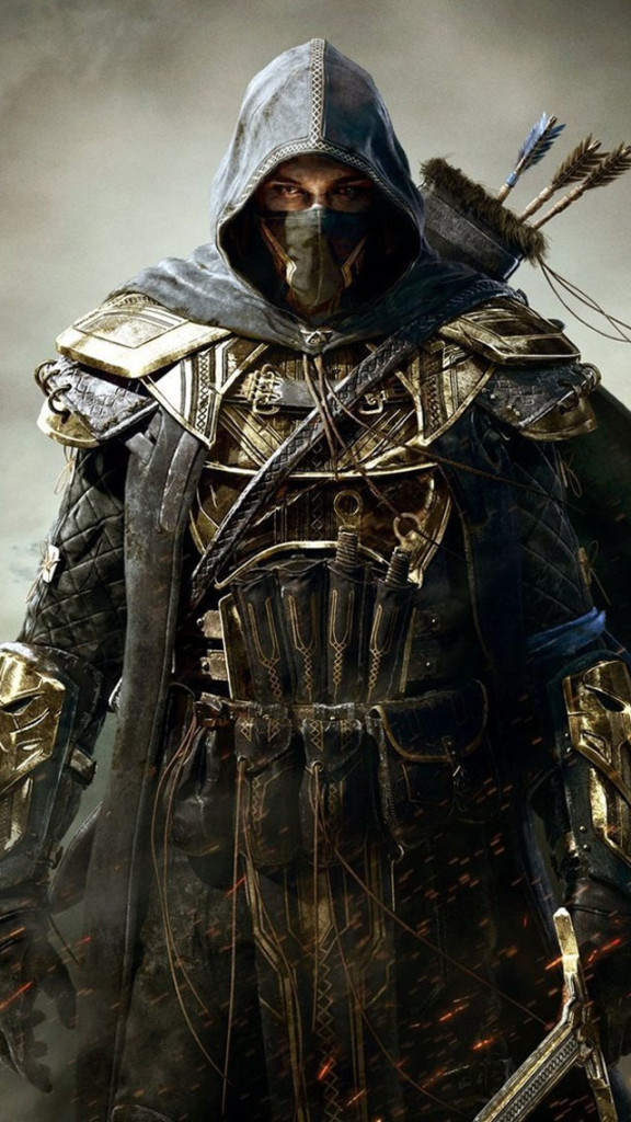 The Elder Scrolls Online Warrior Wallpaper iPhone