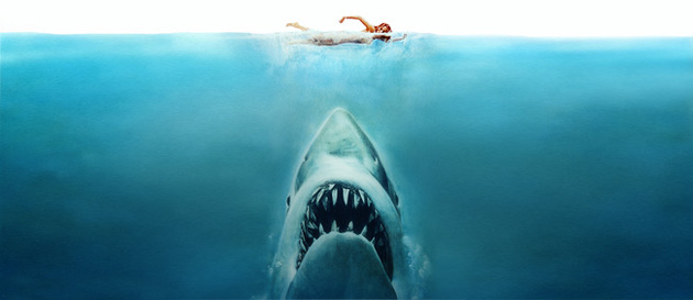 Jaws Movie Information Image Search Results