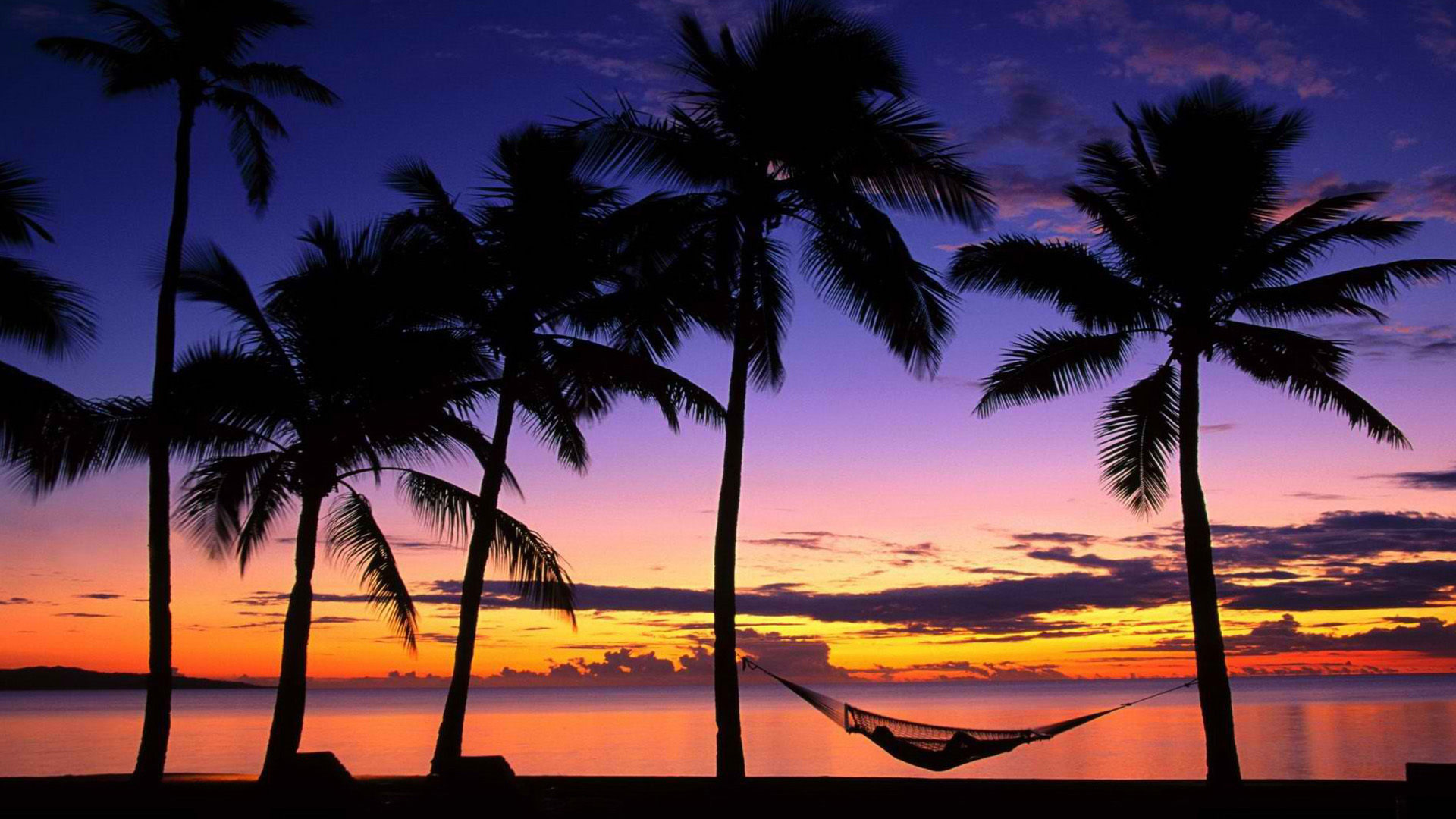 Tropical beach at sunset and palm hammocks Wallpapers Beach Pictures