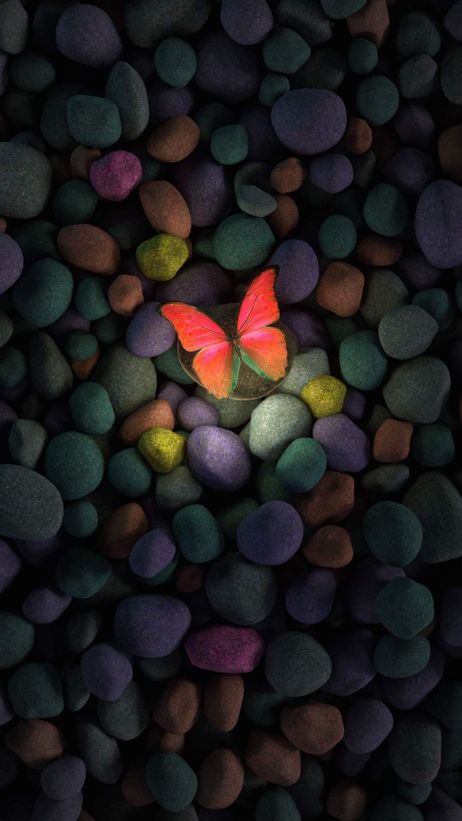 Butterfly Wallpaper For iPhone