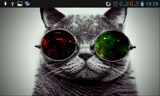 Dubstep Cat Screenshot