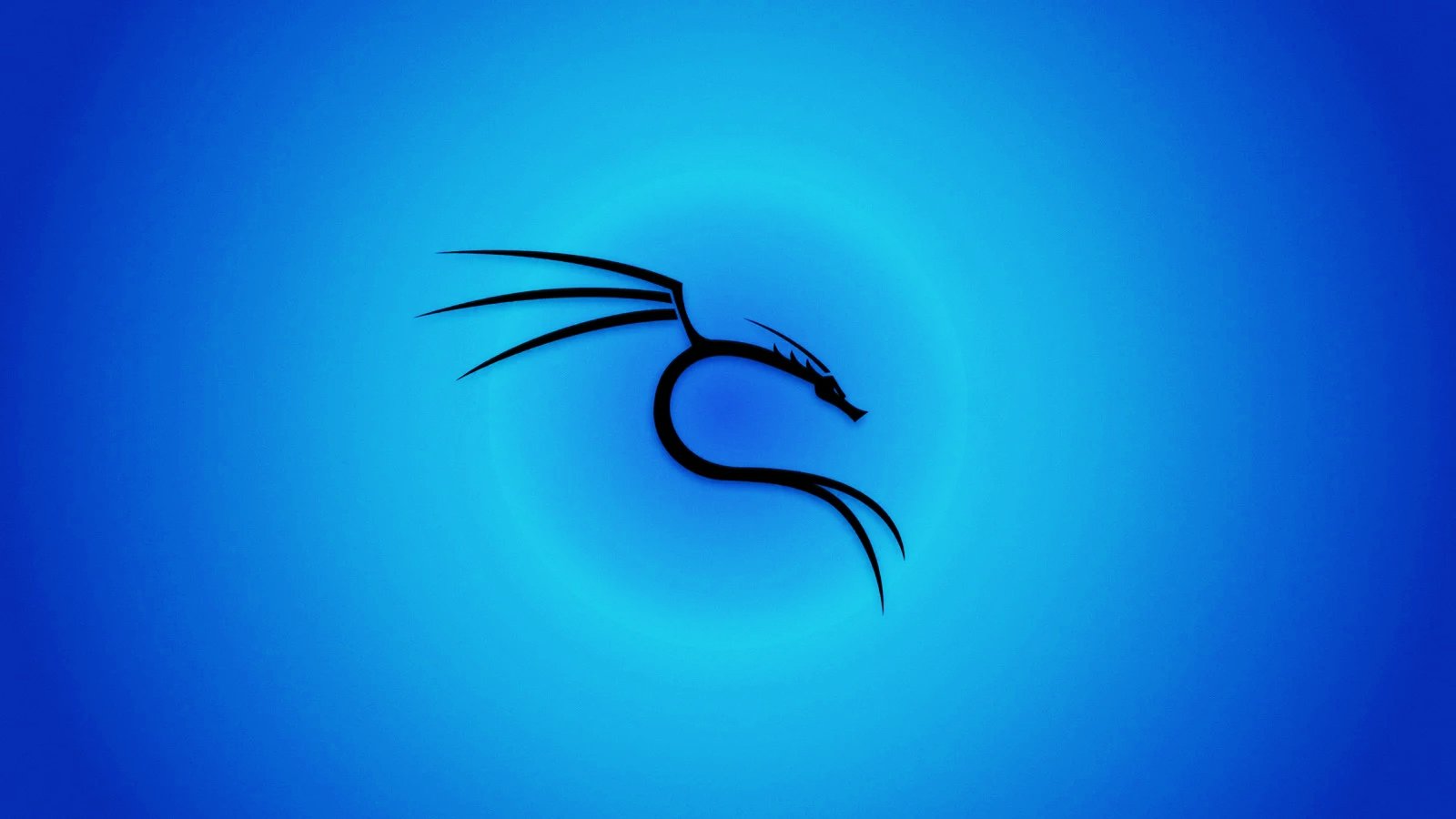 Kali Linux Wallpaper