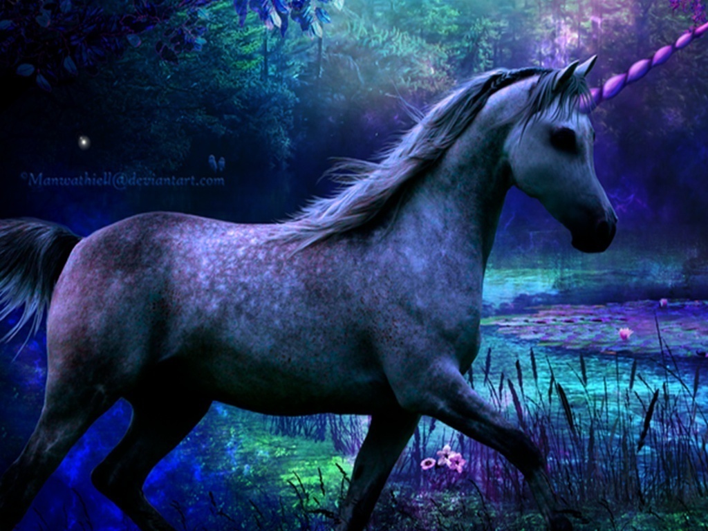 Unicorn Pictures And Funny 3d Wallpaper