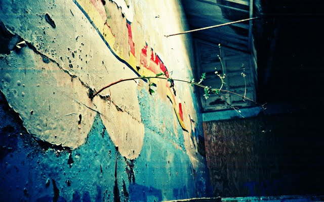 Lomo Lc A New Life In Decayed Wall Beautiful Lomography Wallpaper