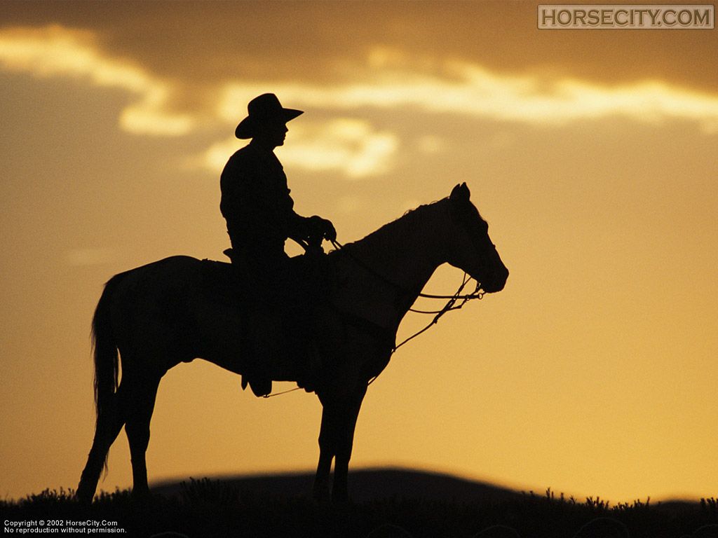 Cowboy Background Best On Digitalimagemakerworld