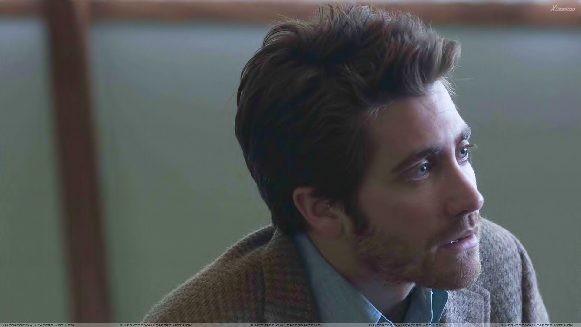 Zodiac Jake Gyllenhaal Looking Somthing Wallpaper