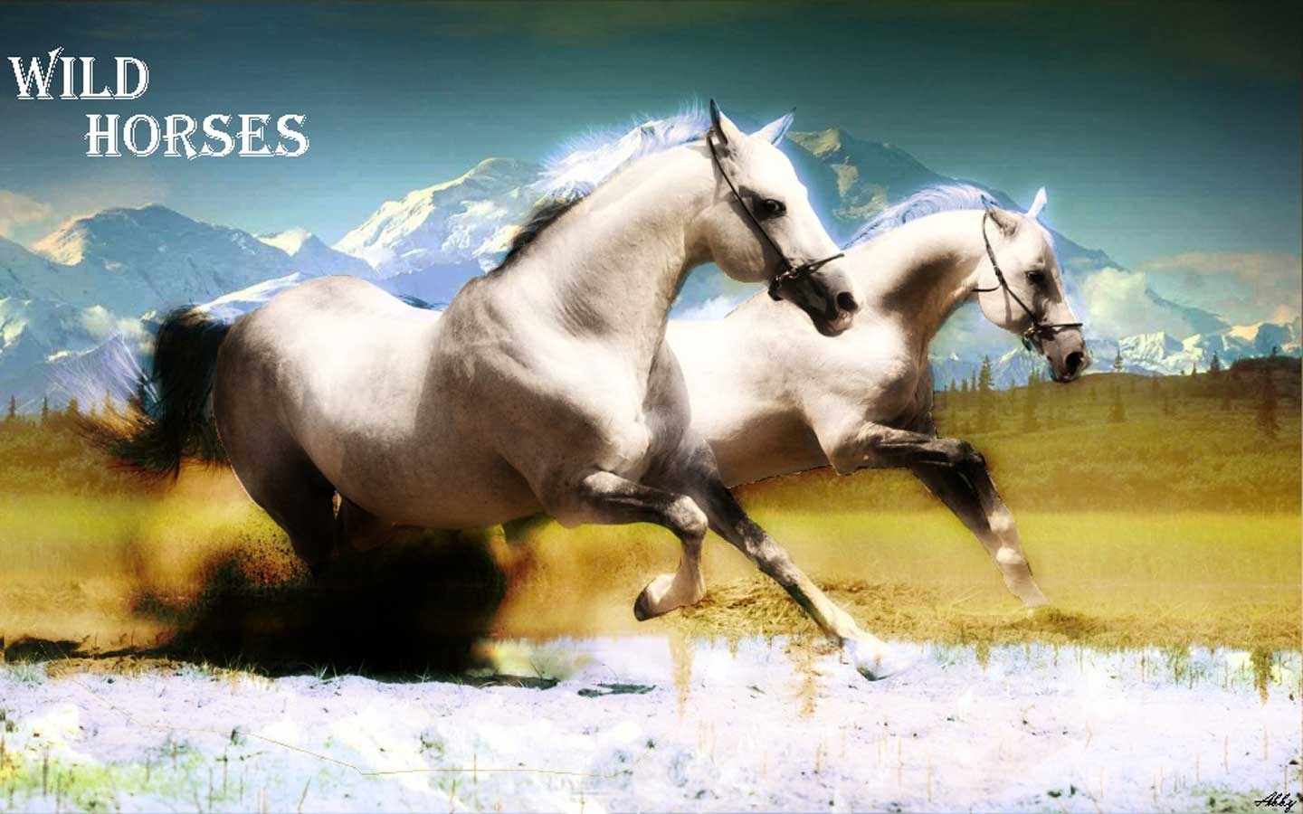 Wallpaper Two Wild Horses Horse
