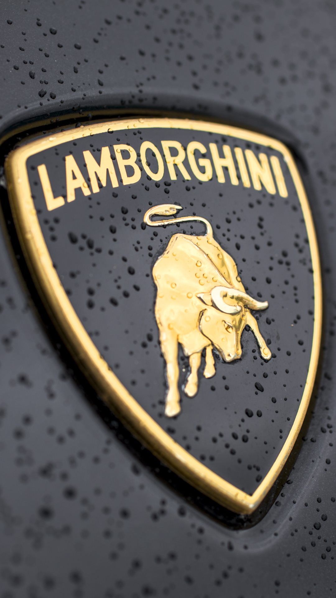Lamborghini Logo Close Up iPhone Wallpaper