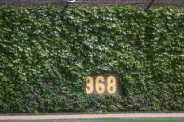 Wrigley Field Ivy Wallpaper Photos
