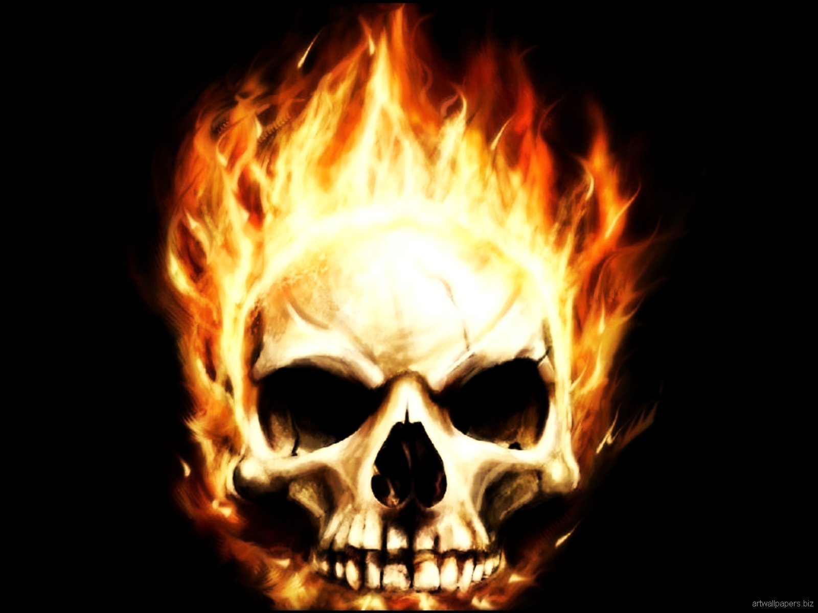 Skull Wallpapers Skull Art Wallpapers Skull Desktop Backgrounds 1600x1200
