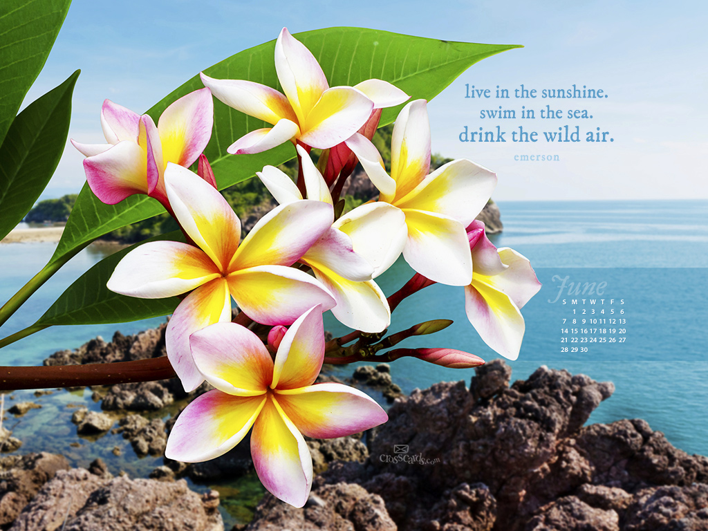 Desktop Calendar Wallpaper Crosscards Monthly