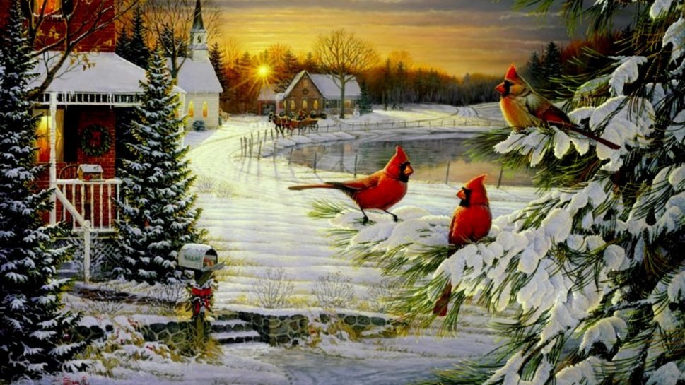 Winter Cardinals wallpaper   ForWallpapercom 969x545