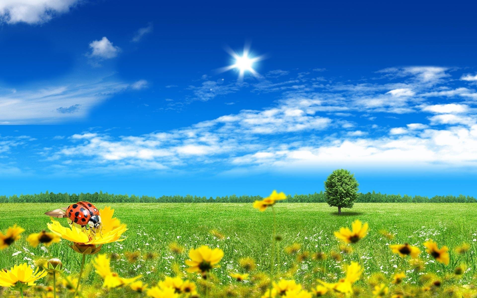 Hq Definition Beautiful Sunny Day Wallpaper For Photos
